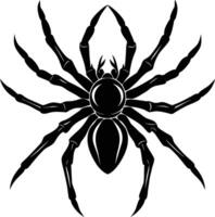 A silhouette of a black spider vector