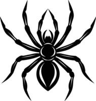A silhouette of a black spider vector