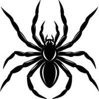 A silhouette of a black spider vector