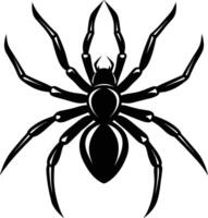 A silhouette of a black spider vector