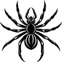 A silhouette of a black spider vector