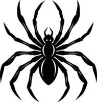 A silhouette of a black spider vector