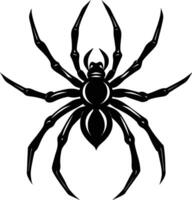 A silhouette of a black spider vector