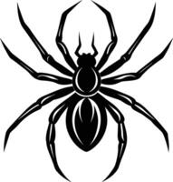 A silhouette of a black spider vector