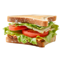 Sandwich mit Grüner Salat und Tomate isoliert auf transparent Hintergrund png