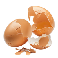 Cracked Eggshells Close Ups Premium Quality Stock Photography png