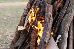 Beautiful fire flames on a campfire photo