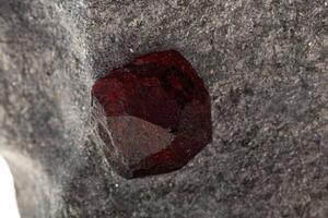 Macro mineral stone Garnet in rock on a white background photo