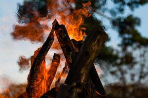 hermosa fuego llamas en un hoguera foto