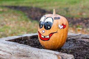 Beautiful pumpkins for halloween photo