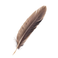 Explore Quill Feather Cut Out PNGs Stock Photography Collection