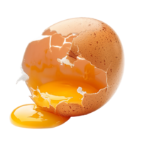 Unlock Inspiration Cracked Eggshell with Yolk Cut Out Stock Images png