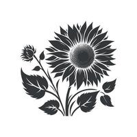 Flat design sunflower silhouettes and leaves floral element design template illustration vector