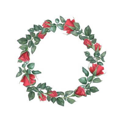Roses. Wreath with rose branches in modern style. Dark red flower. Romantic deep ruby flowers. Watercolor illustration. Round frame with empty space for text. For wedding invitation.