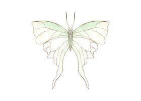 Fluttering delicate white green butterfly in Art Nouveau style. Abstract watercolor tropical insect. Top view. Hand drawn illustration. Decorative elements for art deco design vector