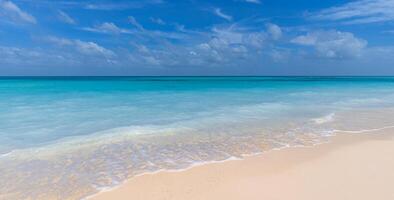 Tropical sunny beach view. Calm sunshine and relaxing empty beach scene, blue sky happy clouds and white sand. Tranquil nature shore coast landscape. Seaside beachfront horizon seascape in sunlight photo