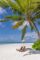 Exotic beach scene, fantastic landscape and blue sky. Parasol, lounge chairs with tropical beach scene, palm trees and a romantic getaway couples. Beach honeymoon concept, banner photo