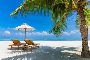 Amazing tropical landscape. Summer scene with lounge chairs and palm trees on white sandy beach background with sea view. Romantic couple tourism vacation photo