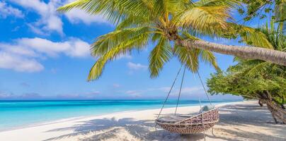 Tropical beach panorama summer relax landscape with beach swing or hammock hang on palm tree over white sand sea beachside tourism. Amazing beach vacation summer holiday coast. Luxury romantic travel photo