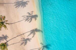 Beach coconut palm trees on exotic shore birds eye view. Turquoise sea waves white sand aerial photography. Panoramic ecology nature background. Tropical paradise travel landscape exotic destination photo