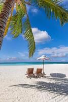 Beautiful beach. Chairs umbrella sandy beach near sea. Summer tourism and vacation concept for tourism. Inspirational tropical landscape. Tranquil couple relaxing beach, tropical destination photo