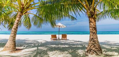 Amazing tropical landscape. Summer scene with lounge chairs and palm trees on white sandy beach background with sea view. Romantic couple tourism vacation photo