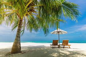 Amazing beach. Romantic chairs umbrella on sandy beach palm leaves, sun sea sky. Summer holiday couples vacation. Love happy tropical landscape. Tranquil island coast relax beautiful landscape tourism photo