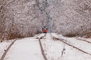 An old tram moving through a winter forest photo