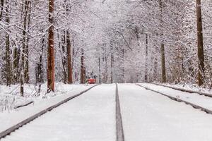 An old tram moving through a winter forest photo