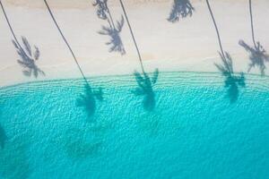 Beach palm tree shadows sunny sandy beach and turquoise ocean from above. Amazing summer nature landscape. Stunning sunny beachfront coast, relaxing peaceful and inspirational shore vacation tourism photo