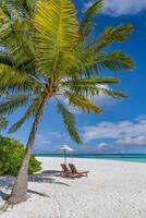 Exotic beach scene, fantastic landscape and blue sky. Parasol, lounge chairs with tropical beach scene, palm trees and a romantic getaway couples. Beach honeymoon concept, banner photo