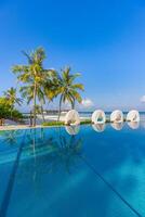 maravilloso paisaje, nadando piscina azul cielo con nubes tropical recurso hotel en Maldivas. fantástico relajarse y pacífico vibras, sillas, tumbonas debajo paraguas y palma hojas. lujo viaje vacaciones foto