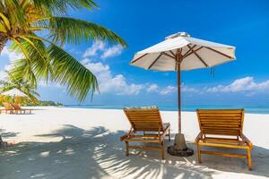 Amazing tropical landscape. Summer scene with lounge chairs and palm trees on white sandy beach background with sea view. Romantic couple tourism vacation photo