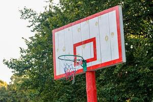 blanco baloncesto respaldo con un anillo en un antecedentes de arboles foto