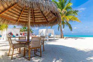 Outdoors tropical restaurant with wooden tables, chairs under palm trees, cocktails on luxury beach resort. Summer travel vacation closeup cocktails ready to eat family concept photo