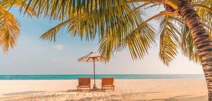 Amazing sunset beach couple chairs sandy beach sea palm. Summer love panoramic vacation resort romantic nature. Inspire tropical landscape. Tranquil scene relax beach beautiful honeymoon photo