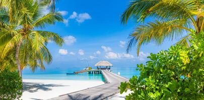 Beautiful tropical Maldives island scene blue sea, blue sky holiday vacation vertical background. Wooden pathway, pier. Amazing summer travel concept. Ocean bay palm trees sandy beach. Exotic nature photo