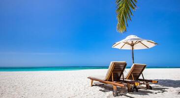 Beautiful beach. Chairs umbrella sandy beach near sea. Summer tourism and vacation concept for tourism. Inspirational tropical landscape. Tranquil couple relaxing beach, tropical destination photo