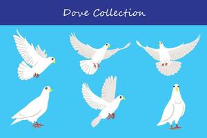 dove collection. dove in different poses. vector