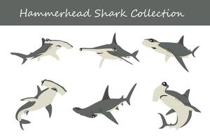 hammerhead shark collection. hammerhead shark in different poses. vector