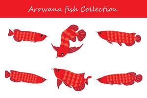 arowana fish collection. arowana fish in different poses. vector