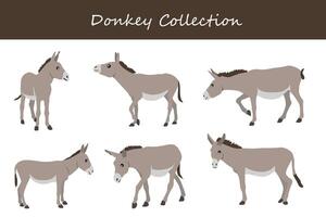 donkey collection. donkey in different poses. vector