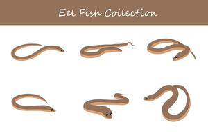 eel collection. eel in different poses vector