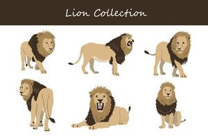 lion collection. lion in different poses. vector