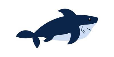 Shark. Flat illustration. Elements suitable for animation. vector