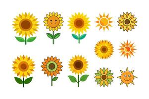 Set of sun flower illustration vector