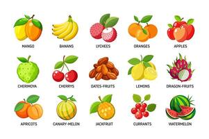 conjunto de común frutas ilustración vector