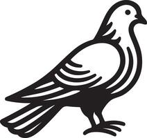 Pigeon Dove silhouette outline illustration. vector
