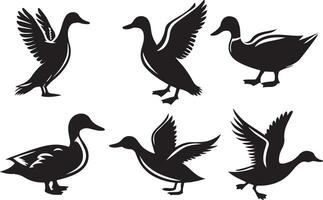 Duck silhouette set illustration. vector