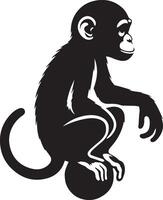 Bonobo monkey sitting on top of a ball silhouette illustration. vector